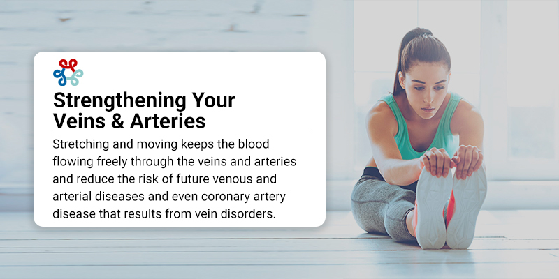 Strengthening Your Veins and Arteries